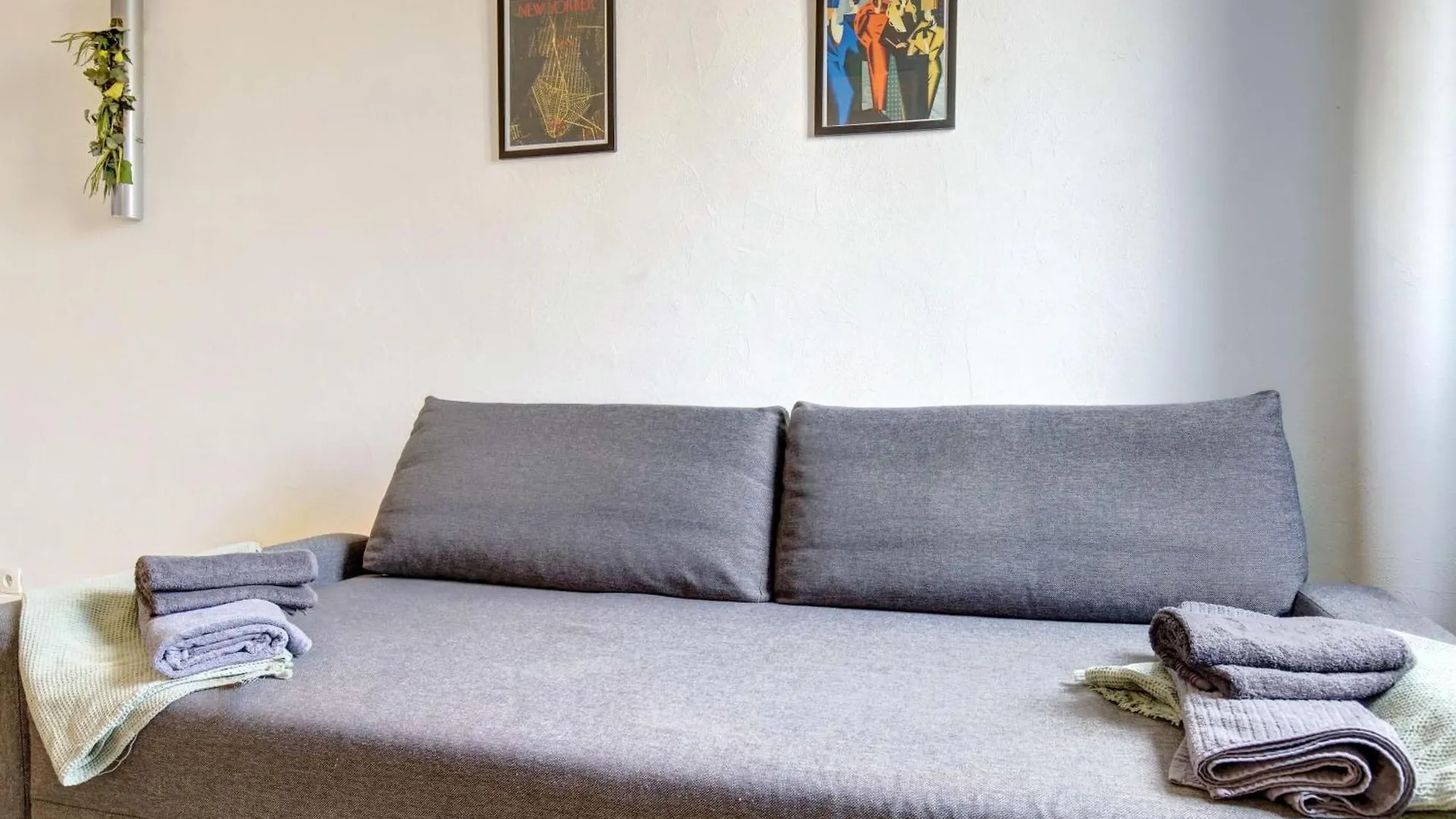 Apartament Le Petit Strasbourg Hypercentre Tuluza